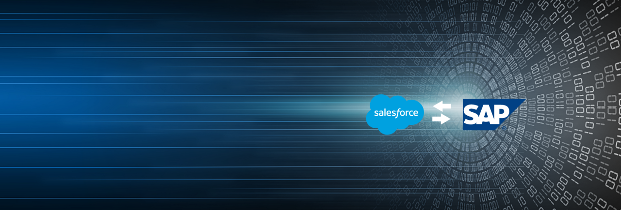 Salesforce Sap Integration Services 